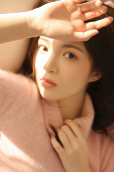 花翎飞盗
